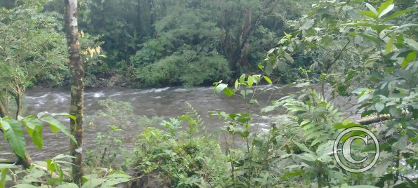 Sendero Ecologico alongside Rio La Hormiga (4)