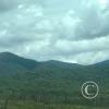 IMG_20221105_121916262