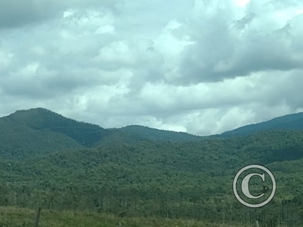 IMG_20221105_121916262