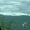 IMG_20221105_133120735
