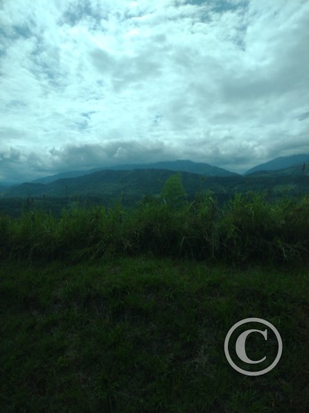 IMG_20221105_133730646