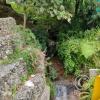 IMG_20221106_112332791