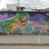 IMG_20221106_152727616