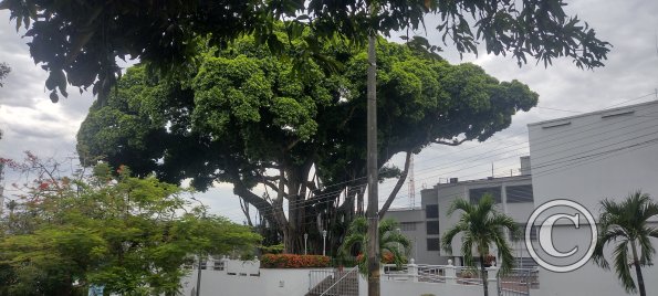 IMG_20230917_145814539_HDR