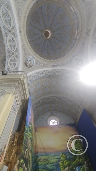 IMG_20221108_162903460
