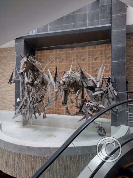 IMG_20221104_124015666_HDR