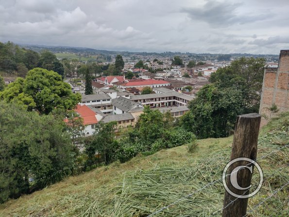 IMG_20221102_104437110_HDR