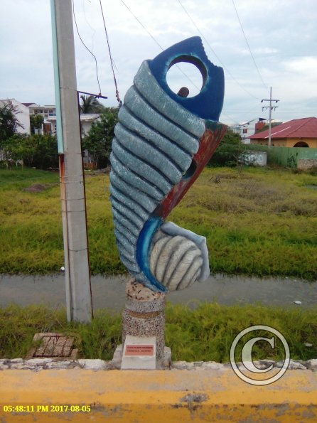Exif_JPEG_420