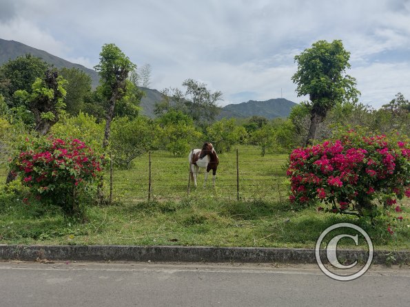 IMG_20221002_094805042_HDR