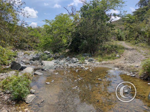 IMG_20221002_102610856_HDR
