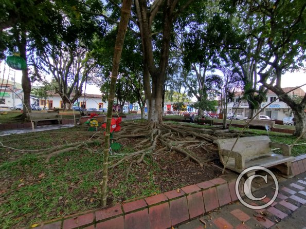 IMG_20211201_113951543_HDR