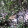 IMG-20231015-WA0003