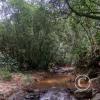 IMG-20231015-WA0009