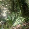 IMG-20231015-WA0011