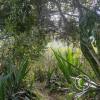 IMG-20231015-WA0024