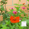 IMG_20210902_150634