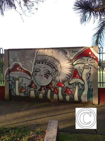 IMG_20211020_170236