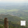 IMG_20211030_113223