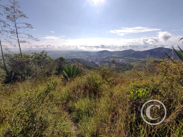 IMG_20211205_082205707_HDR