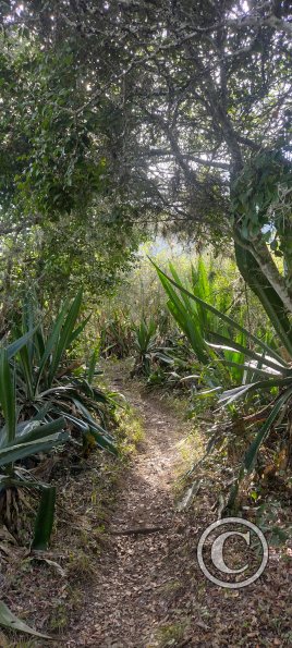 IMG_20231009_160855998_HDR