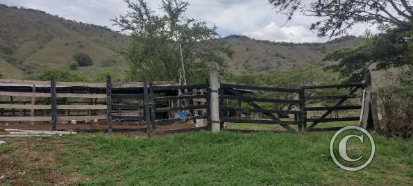 IMG_20231013_143244298_HDR