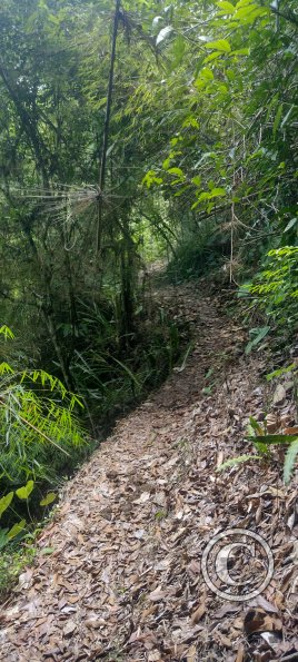 IMG_20231014_111803498_HDR