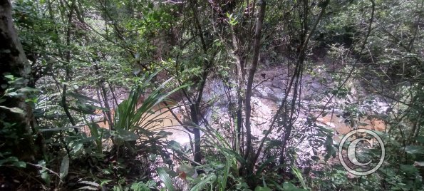 IMG_20231014_115015872_HDR