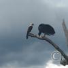 IMG_20231025_130749327