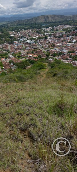IMG_20231104_120916079_HDR