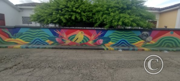 IMG_20251103_133135037_HDR
