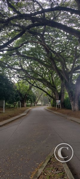 IMG_20251103_134044377_HDR