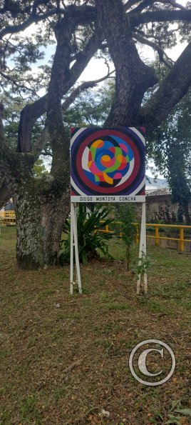 IMG_20251103_134232727_HDR