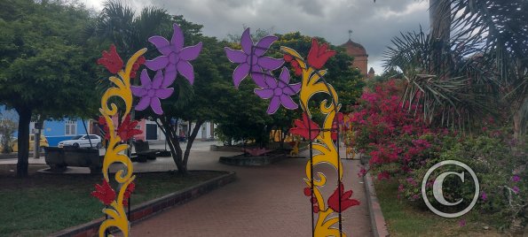 IMG_20251108_134145117_HDR