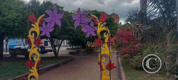 IMG_20251108_134150029_HDR