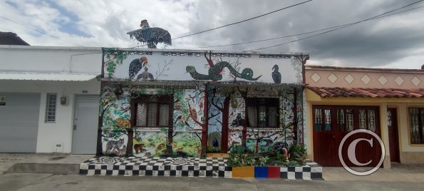 IMG_20251109_132118625_HDR