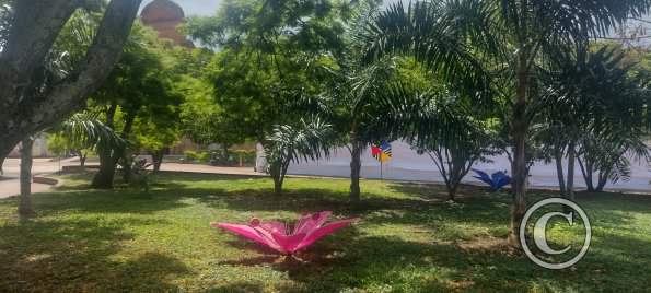 IMG_20251117_130931199_HDR