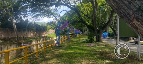 IMG_20251117_134009702_HDR