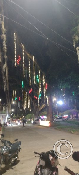 IMG_20251128_191925899