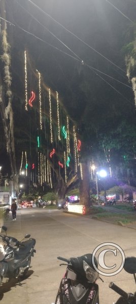 IMG_20251128_191930858