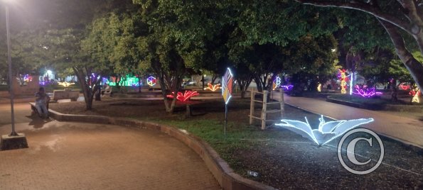 IMG_20251128_193652255_HDR