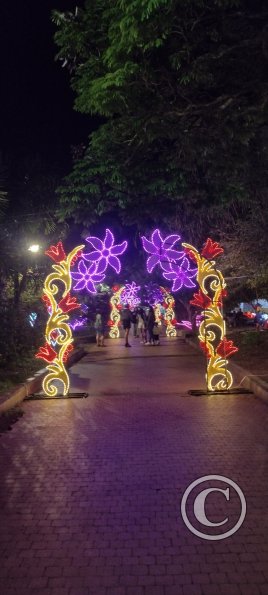 IMG_20251128_193719857_HDR