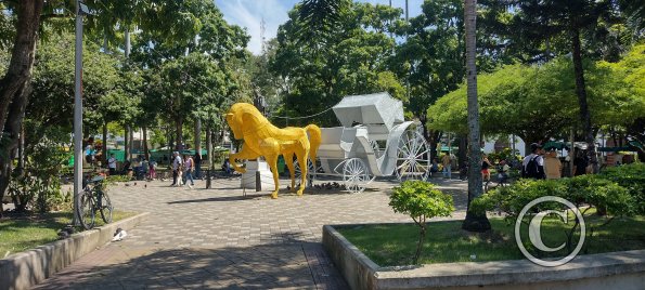 IMG_20251208_131243191_HDR
