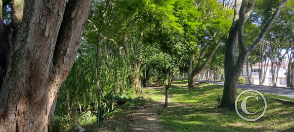 IMG_20251208_144115452_HDR