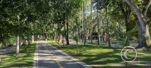 IMG_20251208_144942699_HDR