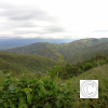 IMG_20211025_150734