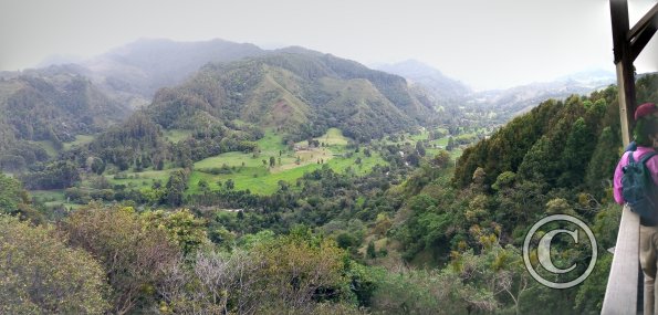IMG_20201101_153910_995-PANO