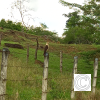 IMG_20211018_134656