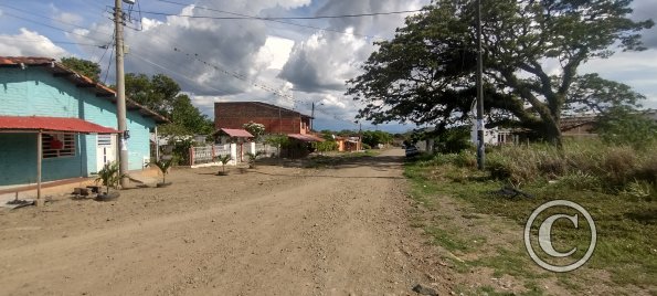 IMG_20231015_150556048_HDR