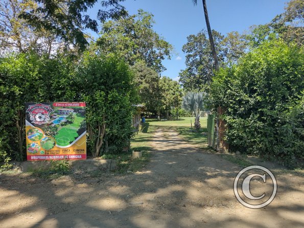 IMG_20211213_122926680_HDR