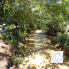IMG_20210628_124726